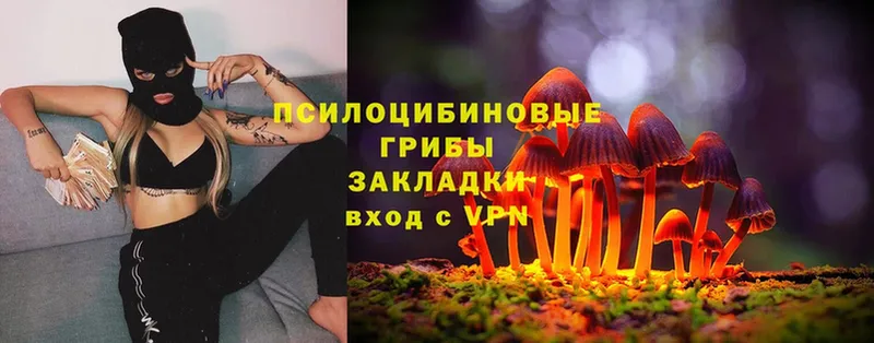 купить закладку  Первоуральск  Галлюциногенные грибы MAGIC MUSHROOMS 